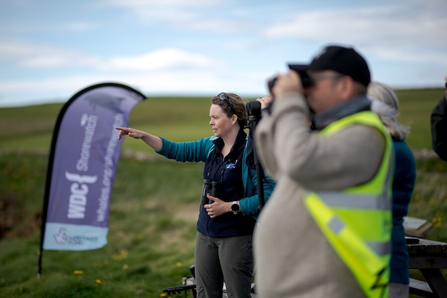 Are you interested in learning about whales and dolphins around Orkney?