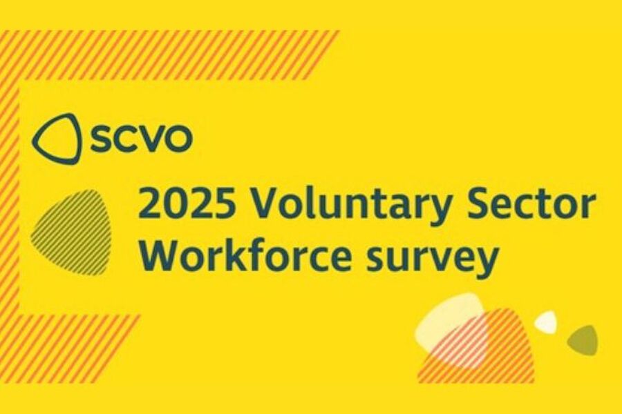2025 Voluntary Sector Workforce survey