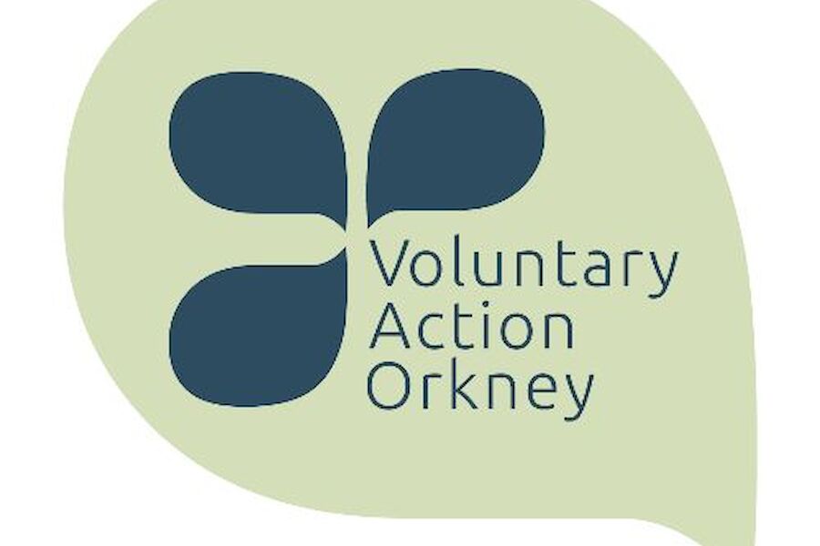 Volunteer Mentor