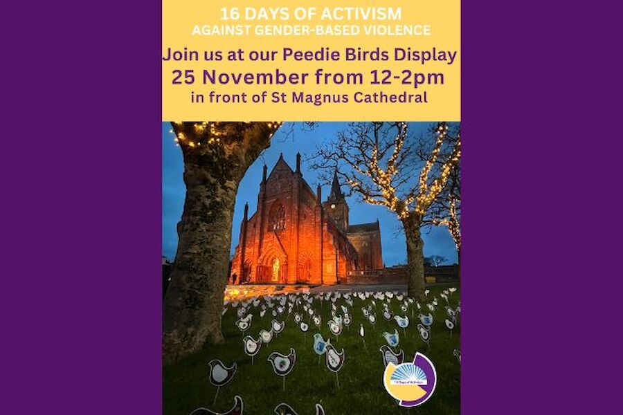 16 Days of Activism - ORSAS Peedie Birds display