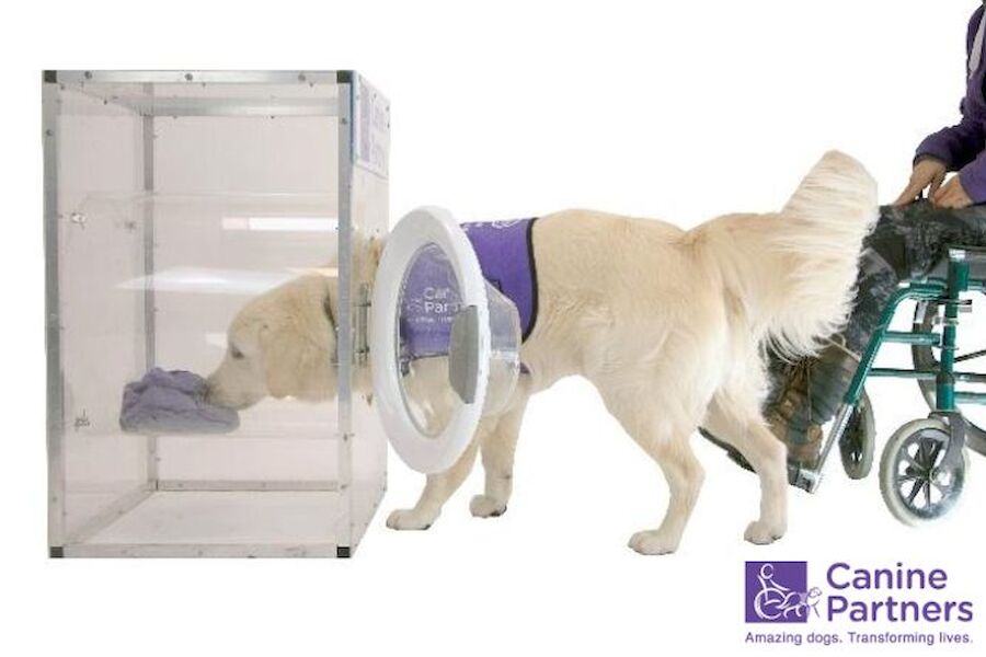 Canine Partners - Virtual Open Day