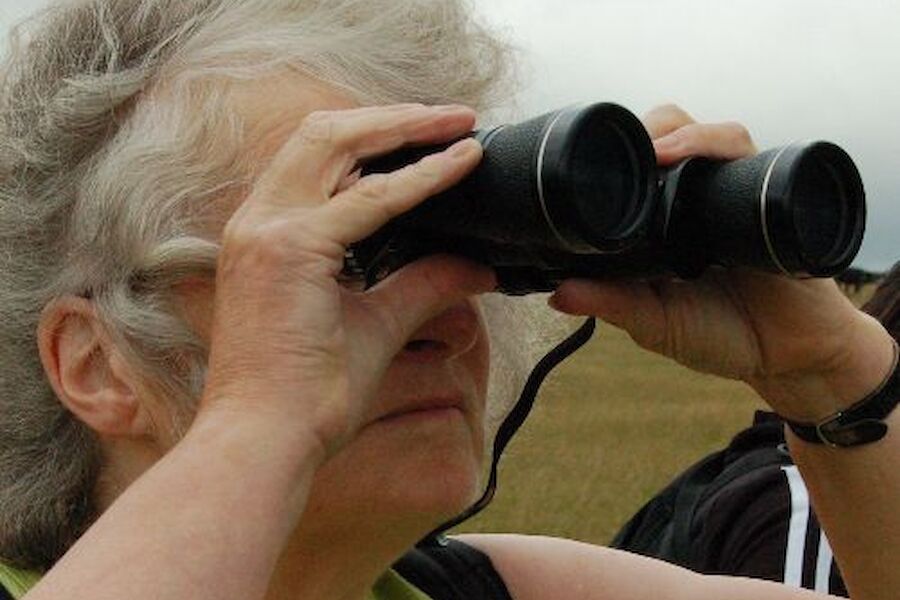 Volunteer Researcher