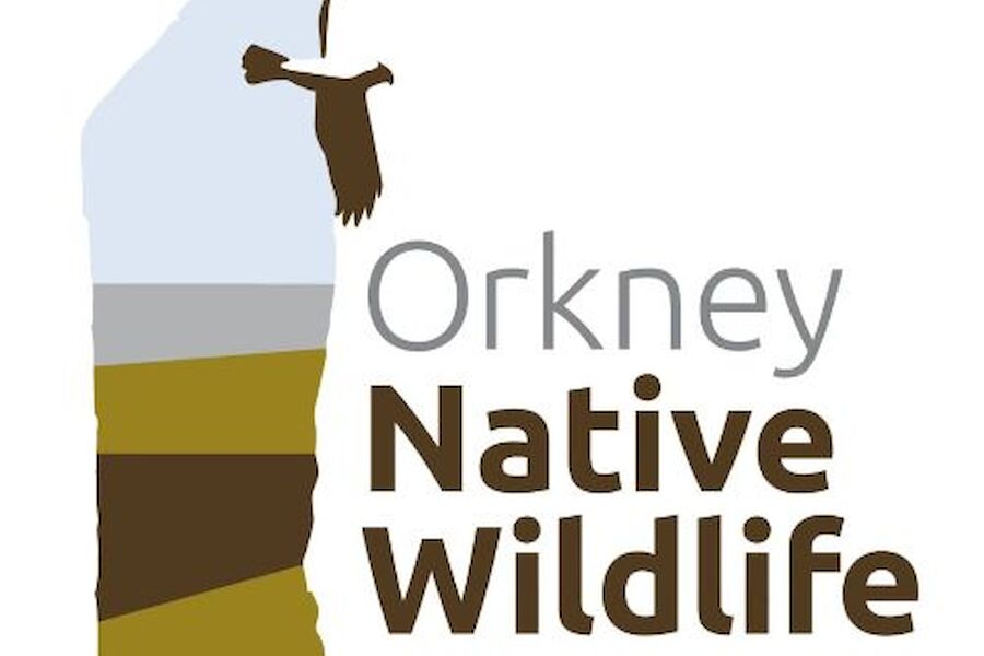 Rapid Response Volunteer