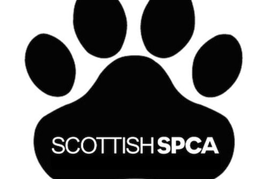 SSPCA Student Ambassador (Orkney Islands)