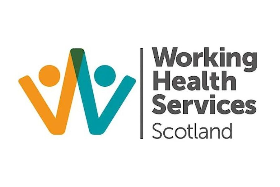 Delivering Fair Work Through Workforce Health and Wellbeing Support: The Working Health Services Approach