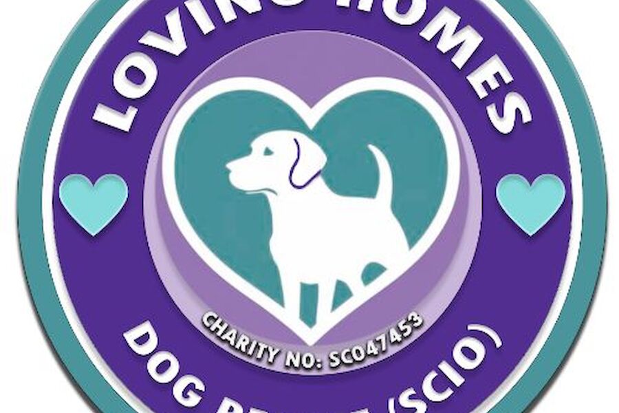 Could you help local rescue dogs in Orkney?