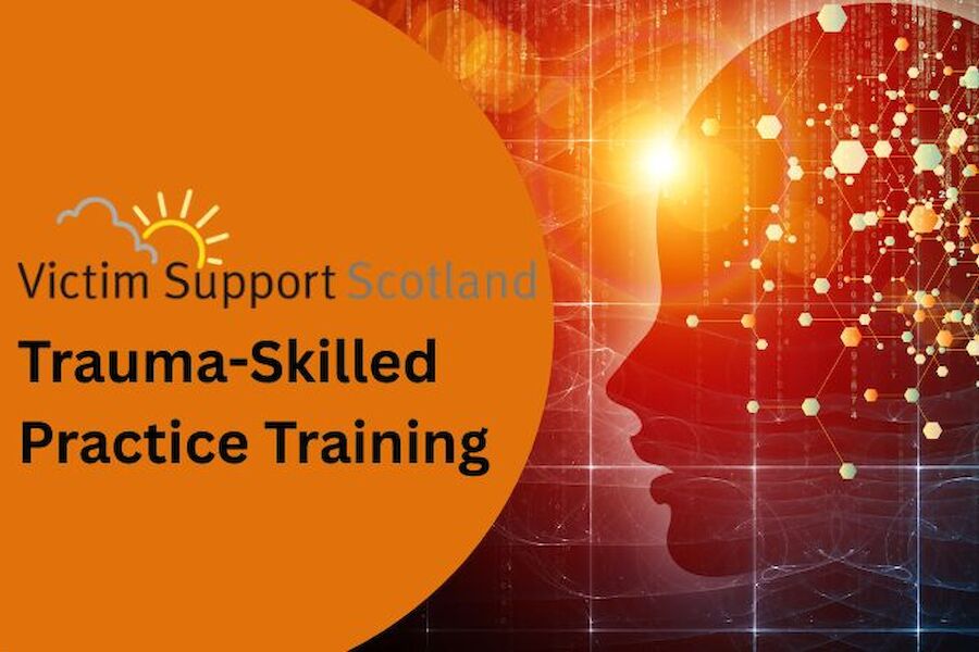 Trauma-Skilled Practice Training
